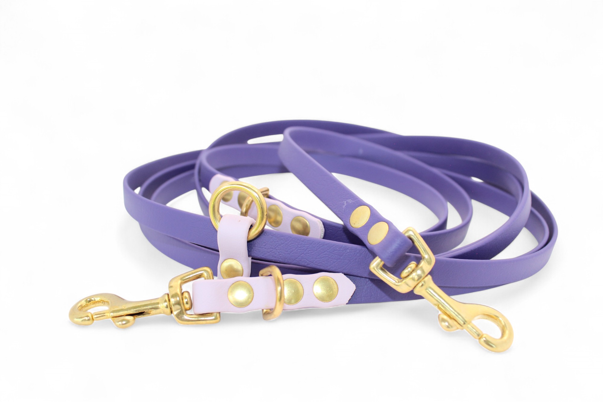 IMG_4821 ACC Biothane® Multi-Clip Leash 300cm/13mm violet with lavender and brass finishings