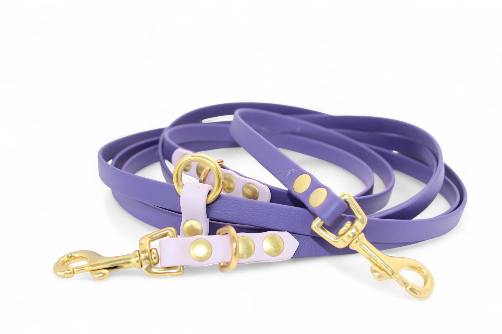 IMG_4822 ACC Biothane® Multi-Clip Leash 300cm/13mm violet with lavender and brass finishings