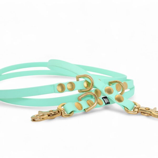 ACC Biothane® Multi-Clip Leash 165cm/9mm soft mint and brass finishings