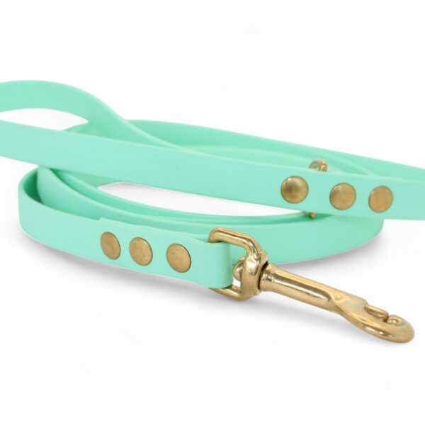 ACC Biothane® City Leash 200cm/16mm soft mint with brass finishings
