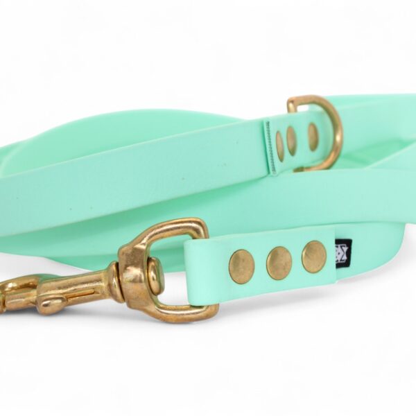 ACC Biothane® City Leash 200cm/19mm soft mint with brass finishings