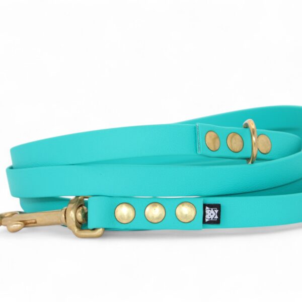 ACC Biothane® City Leash 200cm/16mm azure sea with brass finishings