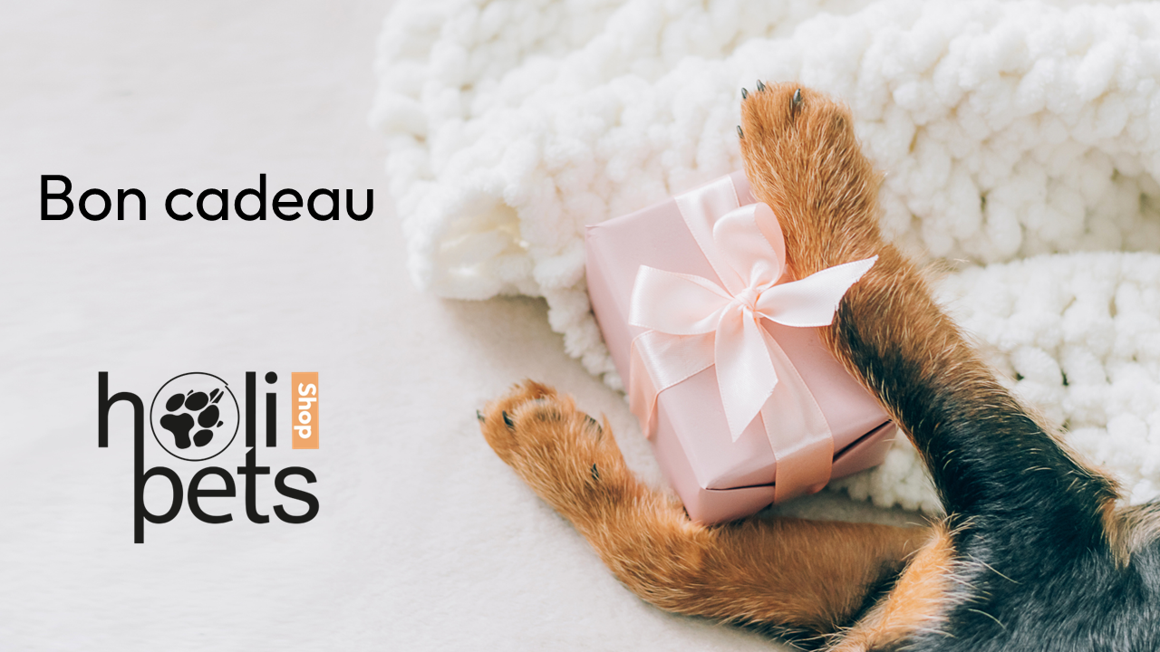 bon cadeau holipets bon cadeau holipets