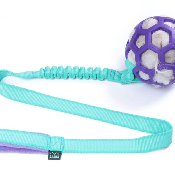 long pumppa violet ball mint strap